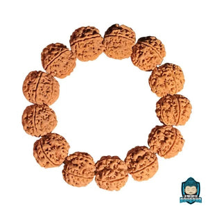 Bracelet-Graine-de-Rudraksha-naturelles-du-nepal-18-a-20-mm-bracelet-elastique-La-Maison-de-Bouddha