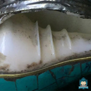 Pendentif-Conque-Tibetaine-Turquoise-et-Argent-Amulette-spirituelle-artisanale-conque-de-mer-naturelle-La-Maison-de-Bouddha