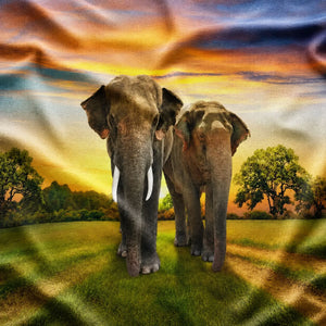 zoom textil Tenture murale avec deux éléphants dans la savane au coucher du soleil