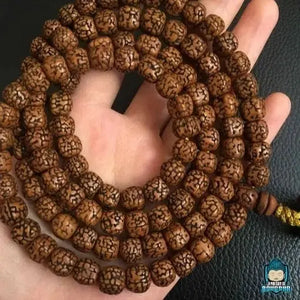 Mala en Graine de Rudraksha du Népal Top Qualité La Maison de Bouddha