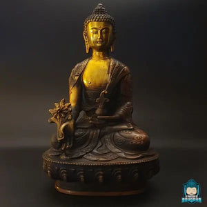 statue-bouddha-medecine-assis-sur-une-fleur-de-lotus-La-Maison-de-bouddha