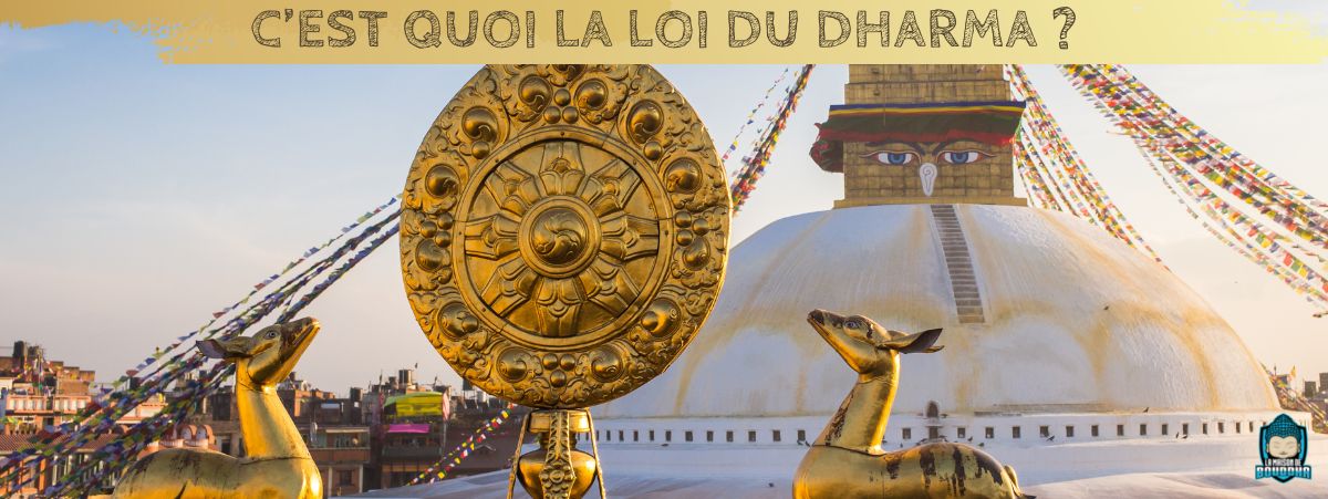 Bannière de blog C’est quoi la loi du Dharma ?