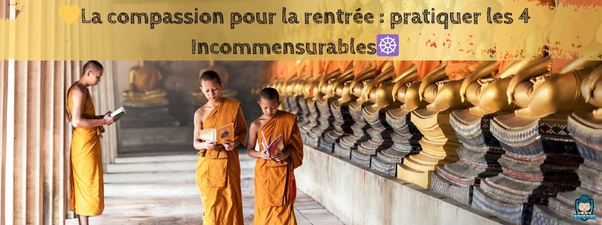 La-compassion-pour-la-rentrée -pratiquer-les-4-Incommensurables-bannière-blog-La-Maison-de-Bouddha