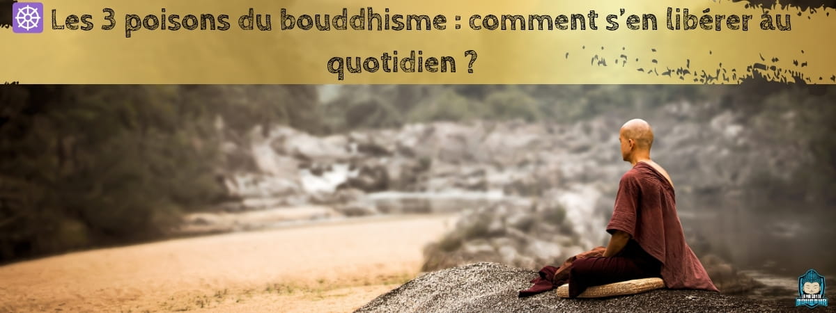 Les-3-poisons-du-bouddhisme-comment-s-en-libérer-au-quotidien-bannière-de-blog-La-Maison-de-Bouddha