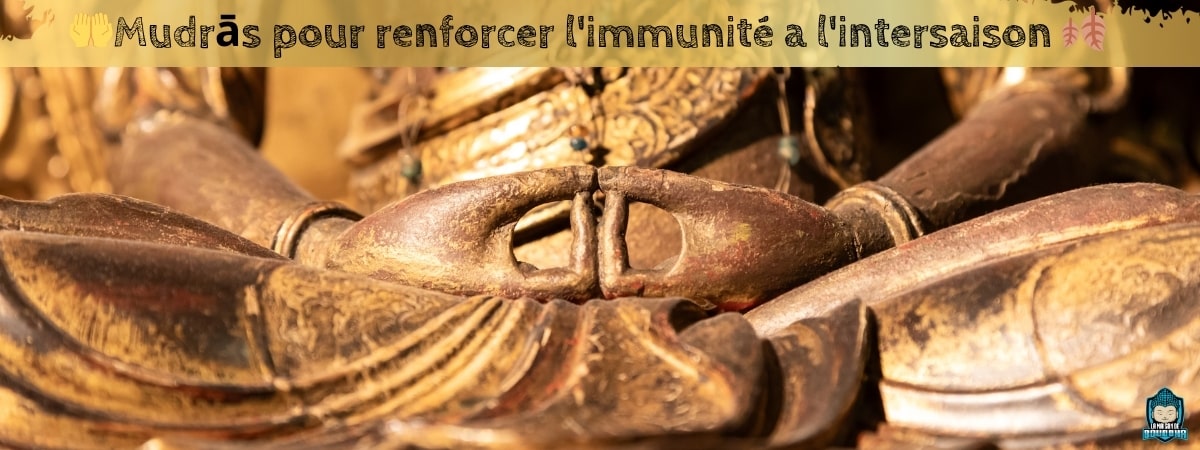 Mudrās-pour-renforcer-l-immunité-a-l-intersaison-bannière-de-blog-La-Maison-de-Bouddha