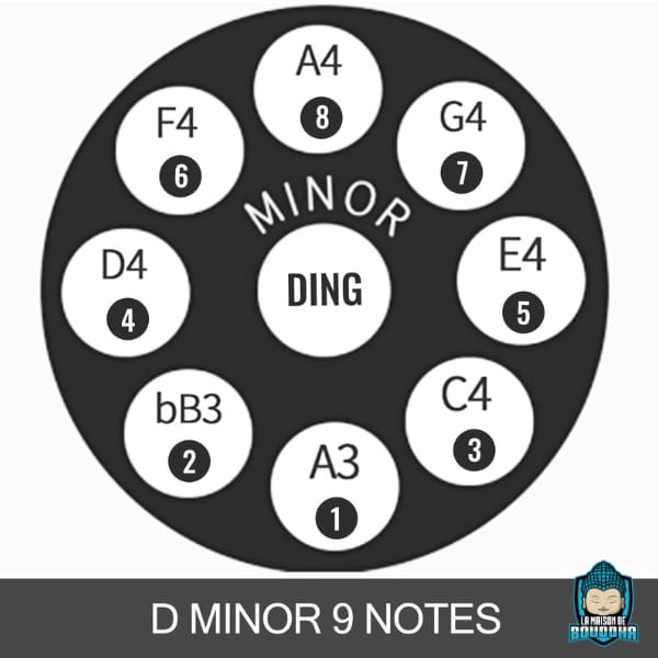 Handpan-9-Notes-56cm-Acier-Nitrure-photo-gamme-de-notes-La-Maison-de-Bouddha