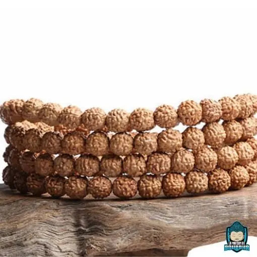 Mala Tibétain Graines de Rudraksha  La Maison de Bouddha