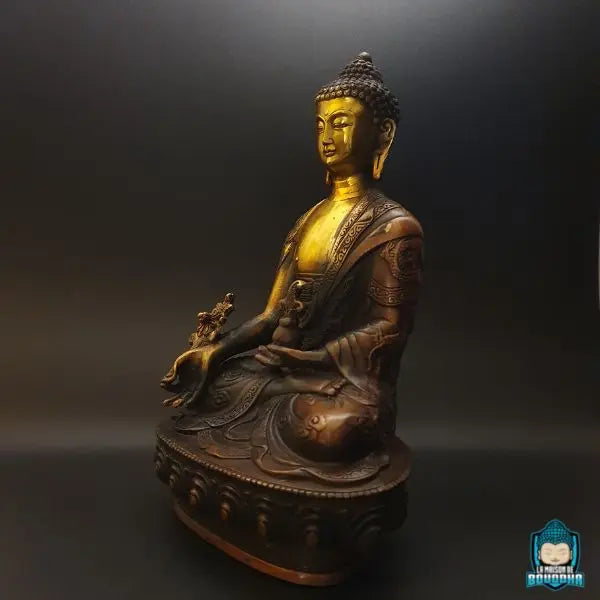 statue-bouddha-medecine-assis-sur-une-fleur-de-lotus-drape-kesa-La-Maison-de-bouddha