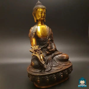 statue-bouddha-medecine-assis-sur-une-fleur-de-lotus-vue-gauche-La-Maison-de-bouddha