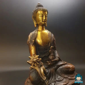 statue-bouddha-medecine-assis-sur-une-fleur-de-lotus-zoom-visage-La-Maison-de-bouddha