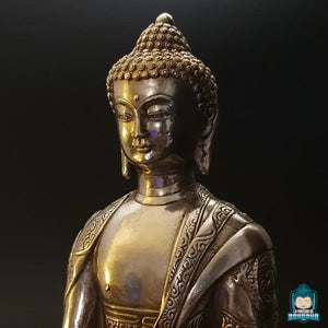 statue-bouddha-médecine-en-argent-tibétain-assis-en-méditation-sur-fleur-de-lotus-drapé-d'une-kesa-La-Maison-de-Bouddha